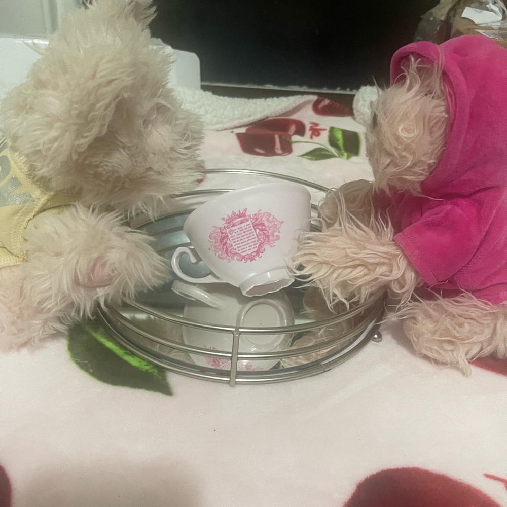 💕Juicy Couture collectors cup💕